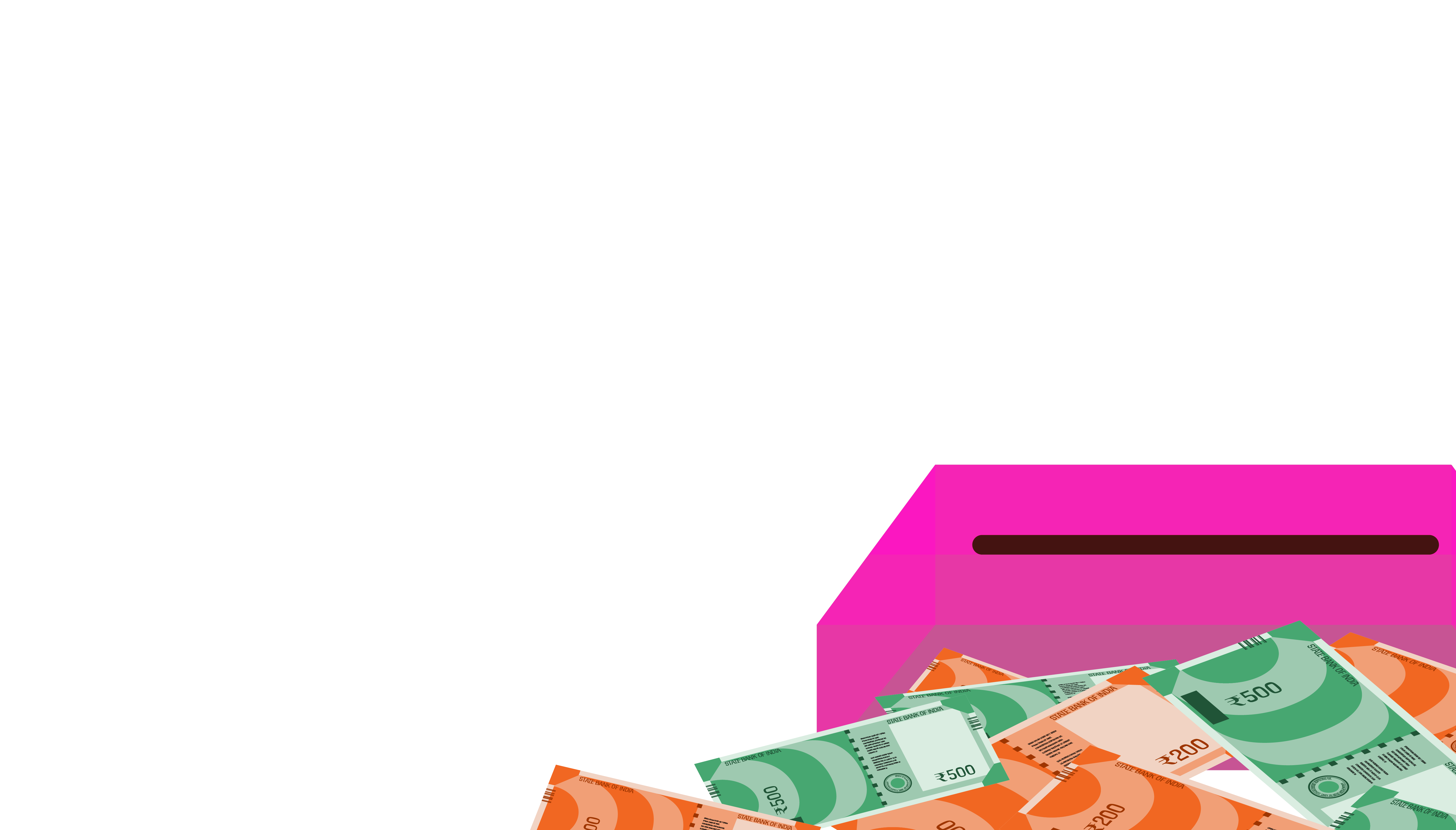 voter ballot, but the voter is putting in some cash